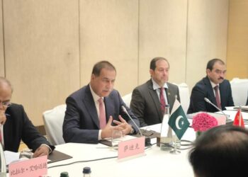 Pakistan, China Vow to Boost CPEC Cooperation and Parliamentary Diplomacy