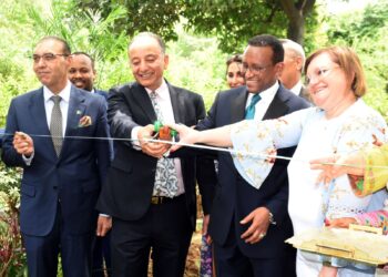 Pakistan Joins Ethiopia’s Historic Green Legacy Drive, Plants 700 Million Saplings in One Day