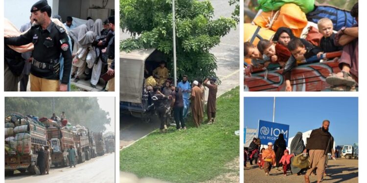 Islamabad Police Detain Afghan Nationals Awaiting German Relocation, Deportation Fears Grow