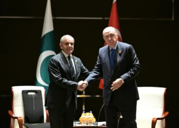 PM Shehbaz meets Turkish President Erdoğan in Tianjin