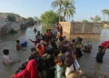 Over 4.2 million people, 1.58m animals affected by devastating floods in Punjab