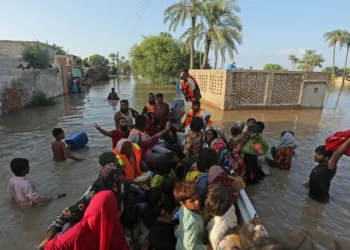 Over 4.2 million people, 1.58m animals affected by devastating floods in Punjab