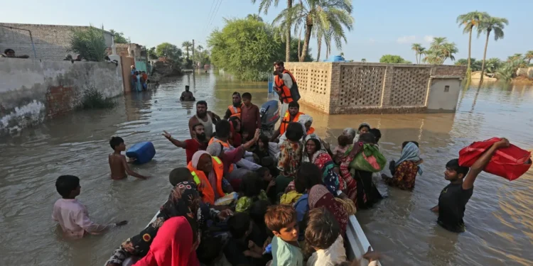 Over 4.2 million people, 1.58m animals affected by devastating floods in Punjab