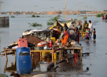 Updated Flood Report: Rising Waters, Widespread Damage, and Relief Efforts Across Pakistan