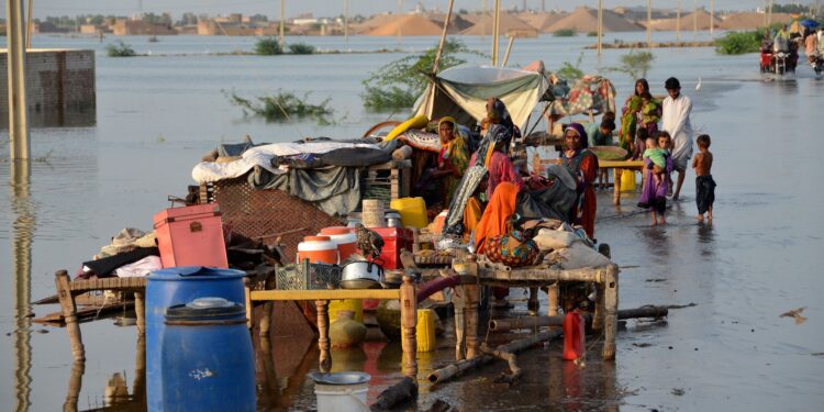 Updated Flood Report: Rising Waters, Widespread Damage, and Relief Efforts Across Pakistan