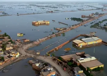 Floods Claim 930 Lives as Authorities Brace for New Rain Spell