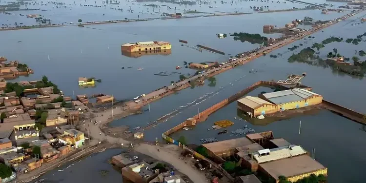Floods Claim 930 Lives as Authorities Brace for New Rain Spell