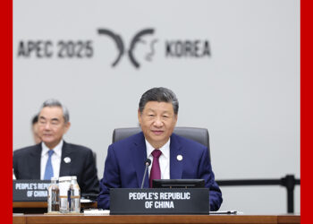 Xi says China provides vast platform of innovation for global business community