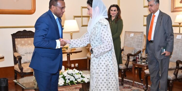 Ethiopian Ambassador Pays Farewell Call on First Lady Bibi Aseefa Bhutto Zardari