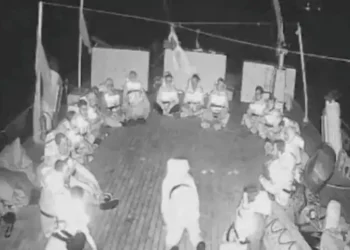 Pakistan, World Condemn Israeli Interception of Gaza Aid Flotilla