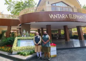 UN Wildlife Body Allows India to Continue Importing Endangered Animals