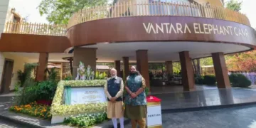 UN Wildlife Body Allows India to Continue Importing Endangered Animals