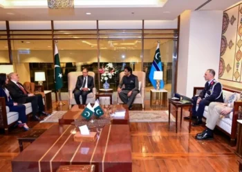 Egypt urges ceasefire-monitoring mandate for Gaza ISF; seeks broader Pakistani role in reconstruction