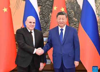 Xi urges enhanced cooperation, better synergy of development strategies with Russia