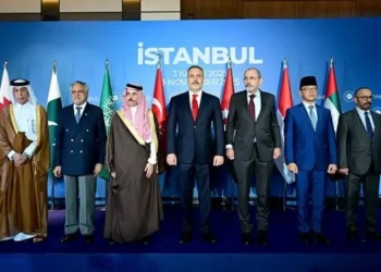 Muslim Nations Condemn Israeli Violations of Gaza Ceasefire