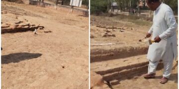 16th-Century Caravanserai Unearthed in Harappa, Revealing Historic Travel and Postal Network