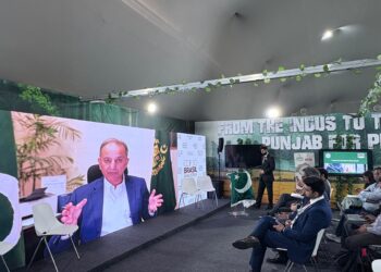 Durable climate action in global south not possible without finance, technology, warns Dr. Musadik Malik