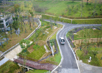 A giant panda transported by a vehicle for accommodation at the Mianyang base of China Conservation and Research Center for the Giant Panda in Mianyang city, Southwest China's Sichuan province