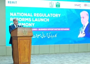 Pakistan Out of Economic Danger Zone, Key Indicators Improving: PM Shehbaz