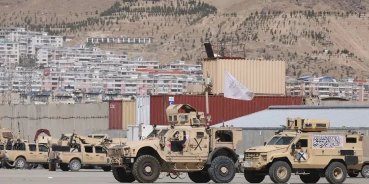 US Watchdog Confirms Taliban Now Rely on American Weapons Left Behind in Afghanistan