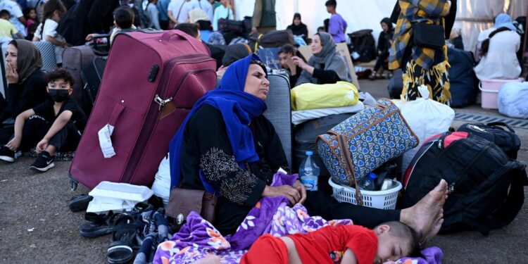 Afghan Returnees from Iran and Pakistan Face Distinct Reintegration Challenges: UNHCR