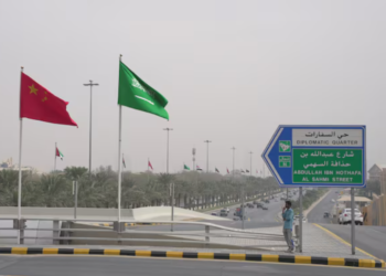 China, Saudi Arabia Agree to Deepen Cooperation on Regional, Global Affairs