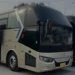Chinese Zhongtong to Begin Local Assembly of Luxury Buses in Pakistan by Mid-2026