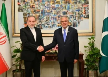 Dar Expresses Hope for Peace and Stability in Iran During Call With Araghchi: FO