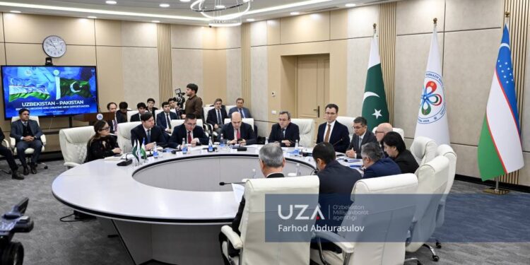Uzbekistan – Pakistan: Strategic partnership toward regional stability and integration