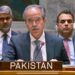 Pakistan reiterates support for Palestinian statehood at UN Security Council