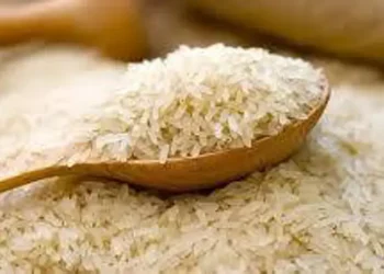 Pakistan, Philippines Explore Expanded Rice Trade Under Prime Minister’s Directions