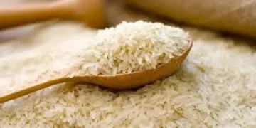 Pakistan, Philippines Explore Expanded Rice Trade Under Prime Minister’s Directions