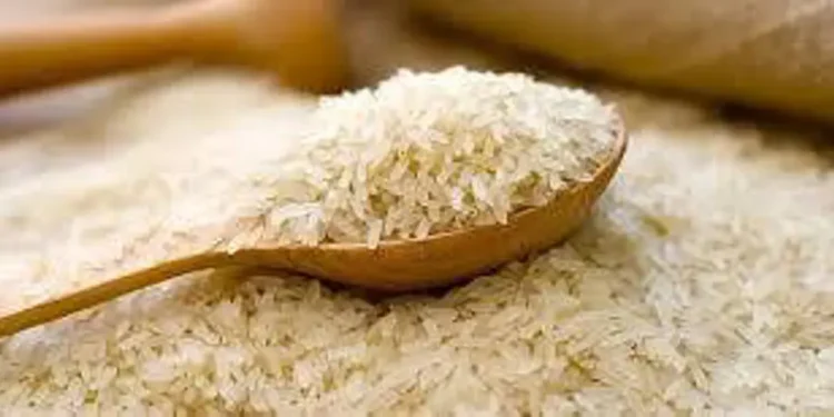 Pakistan, Philippines Explore Expanded Rice Trade Under Prime Minister’s Directions