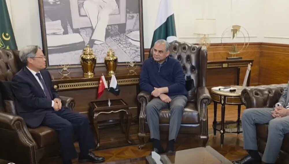 Federal Interior Minister holds an important meeting with Chinese Ambassador Jiang Zaidong