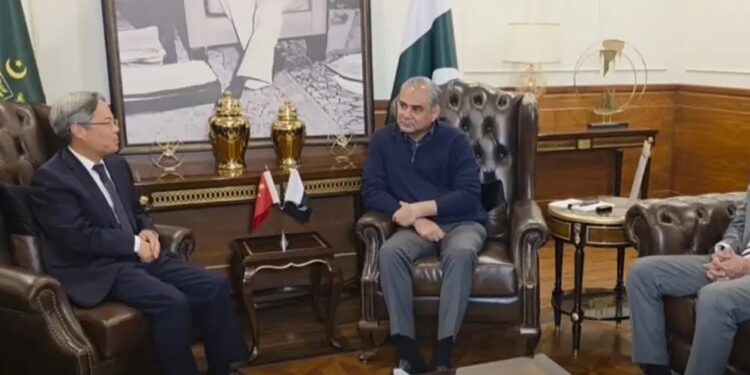 Federal Interior Minister holds an important meeting with Chinese Ambassador Jiang Zaidong