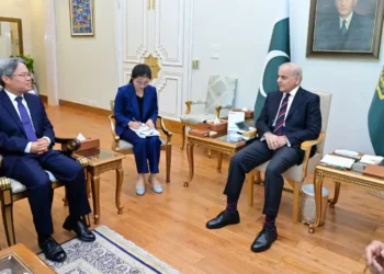 PM Shehbaz Reaffirms Security for Chinese Nationals, Discusses Regional Stability with Chinese Envoy