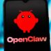 OpenClaw: The Local AI Agent Sparking Excitement ā and Security Fears