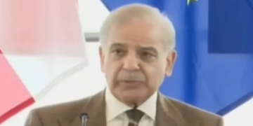 PM Shehbaz says Pakistan working with Europe to ‘jointly ban’ illegal immigration