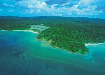 India court clears mega infrastructure project on Great Nicobar island despite ecological concerns
