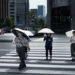 Japan births fall for 10th straight year
