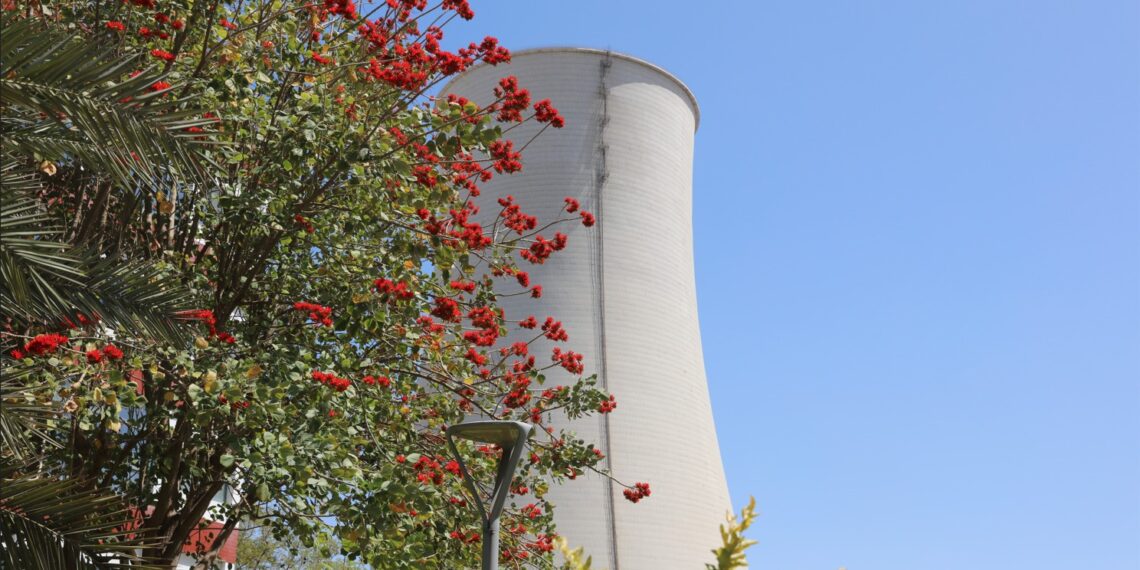 Sports Week 2026: Strength, Strategy and Team Spirit Shine at the 1320MW Sahiwal Coal Power Plant