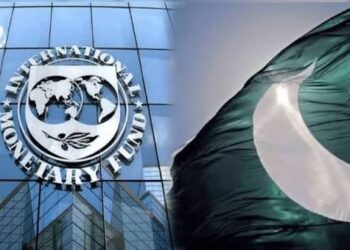 IMF says Pakistan’s power tariff changes must not hurt middle and lower-income families