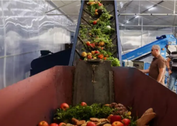 Massive Food Waste Threatens Climate and Food Security, Warns UNEP