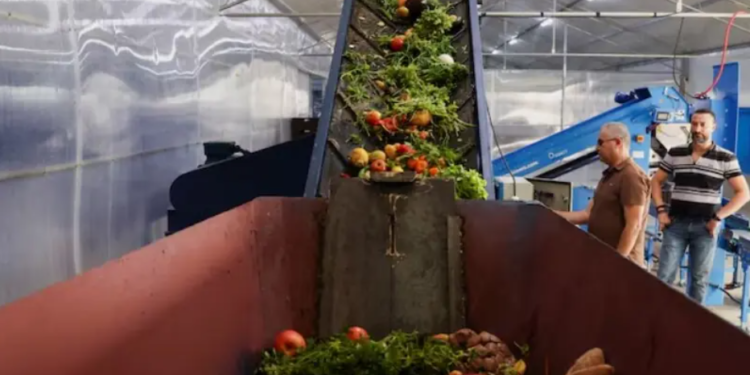 Massive Food Waste Threatens Climate and Food Security, Warns UNEP