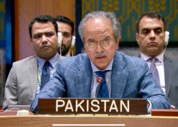 Breakdown of diplomacy further complicates Iran nuclear issue, Pakistan warns Security Council