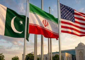‘Very important neutral party’: Pakistan can play greater diplomatic role, says US lawmaker