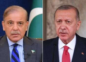 Erdogan Offers Support to Restore Pakistan-Afghanistan Ceasefire in Call with PM Shehbaz