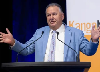 New Zealand minister slammed for ‘butter chicken tsunami’ comments about planned FTA with India