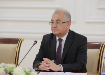 AMIR TEMUR AND DIPLOMACY