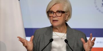 European countries have capacity to clear mines in Hormuz, French Defense Minister says